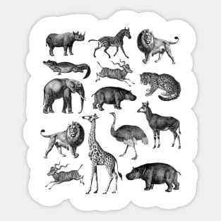 Vintage Animal Safari Collage Sticker